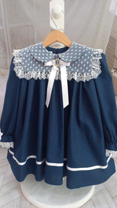 Willow Navy Lace Dress
